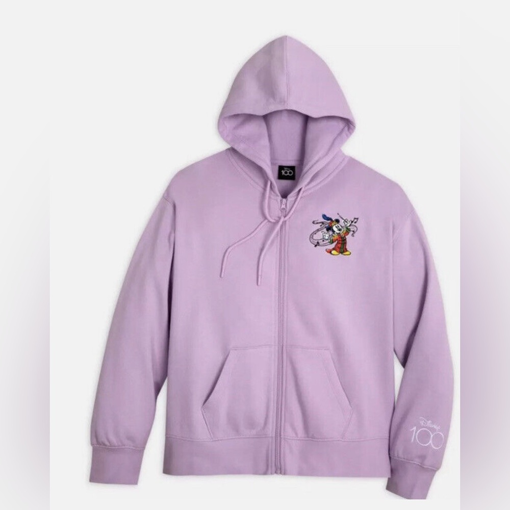 Rare Disney Park 100 Years of Music And Wonder Hoodie Jacket